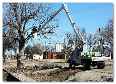 tree-care-truck